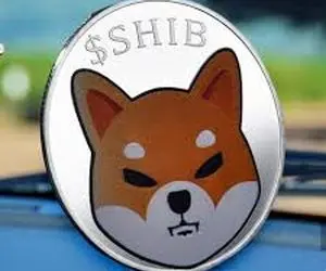 تکنیک های جدیدشیبااینو را بشناسید!