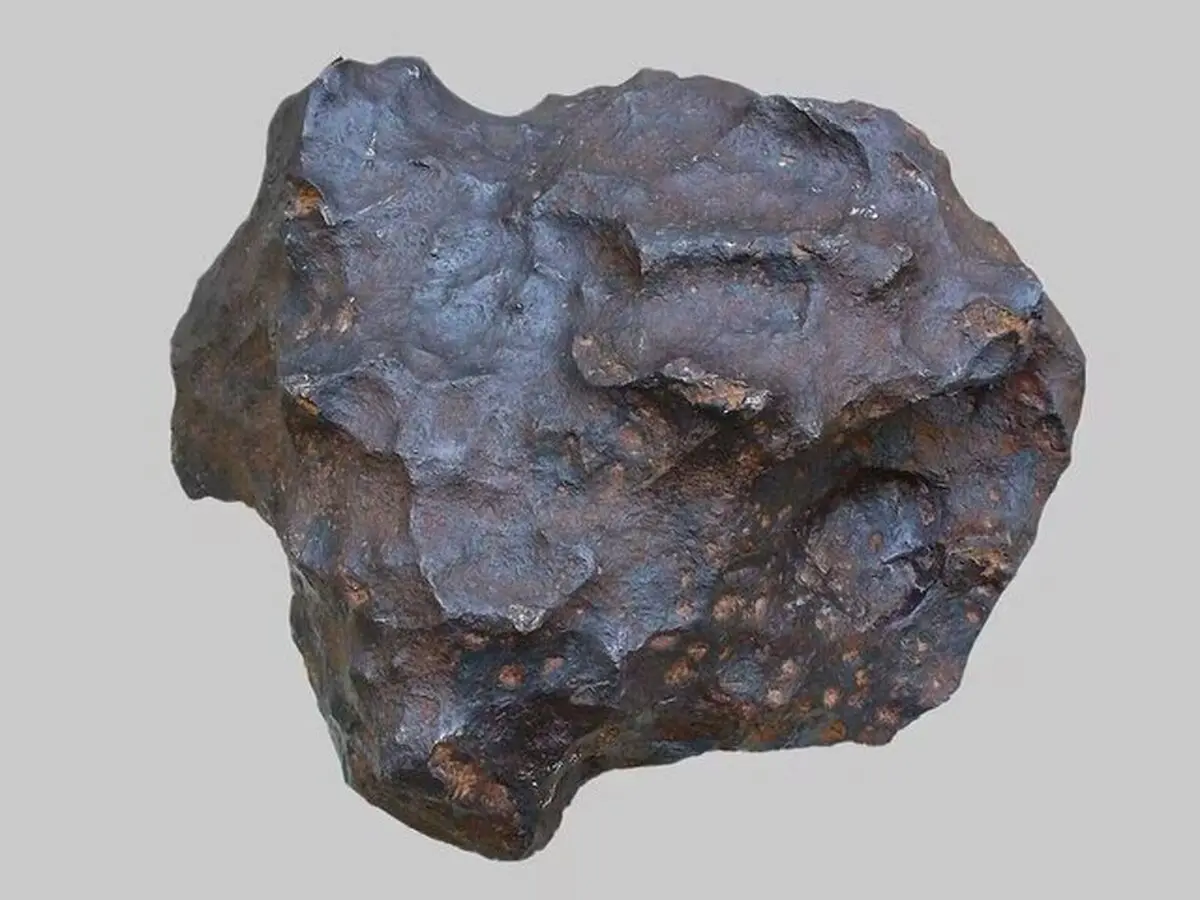 ظظظ