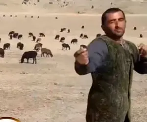 آواز شاد؛ چوپانه گله رو ول کرده وسط صحرا داره با ناز میرقصه؛ فقط نگاهای گوسفندا