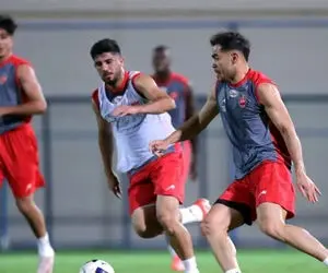 باشگاه پرسپولیس فقط به دنبال تمدبد قرارداد یک بازیکن!