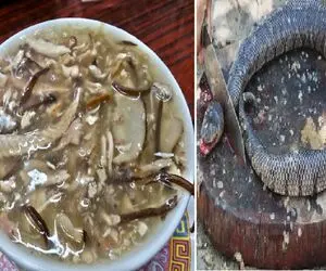 غذای چندش؛ مار سبز و سیاه رو خلالی برش میزنه با هویج و رب و رشته میپزه