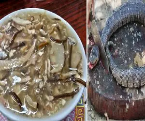 غذای چندش؛ مار سبز و سیاه رو خلالی برش میزنه با هویج و رب و رشته میپزه