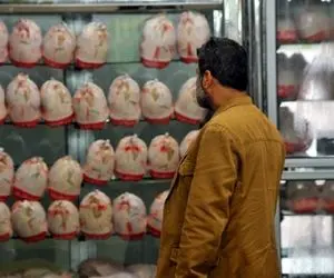 نگرانی ها راجع به تامین مرغ شب عید