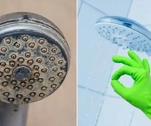 دوش حمام خونه تون جرم گرفته و کدر شده؟ با این روش ها خونگی تمیز میشن درخشان