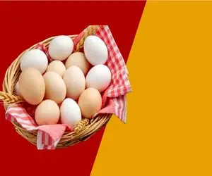 قیمت تخم مرغ امروز یکشنبه 3 خرداد 1405 + جدول
