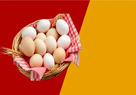 قیمت تخم مرغ امروز یکشنبه 3 خرداد 1405 + جدول