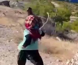 آواز محلی؛ مینی چوپون دیده بودین؟ این دختربچه کوچولو اندازه بره اس ولی چوپونی میکنه