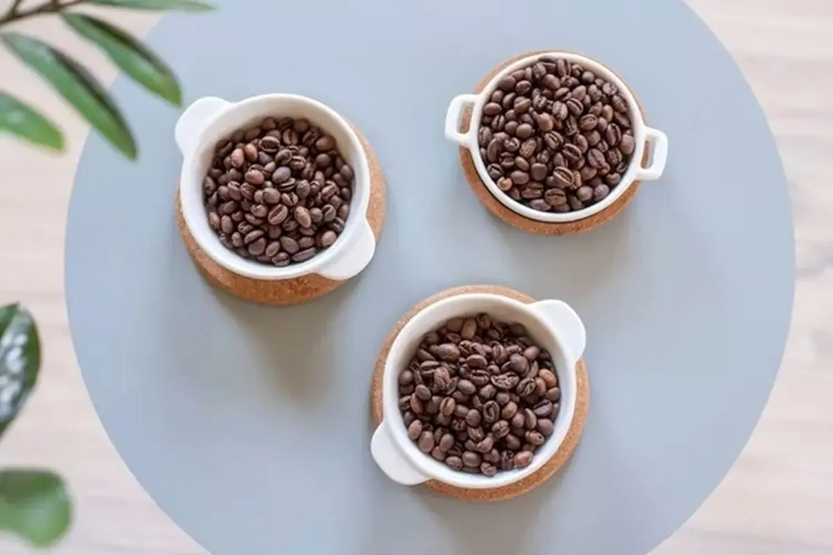 sDnr0RvnQtWtOyELTZeqYw_624x416