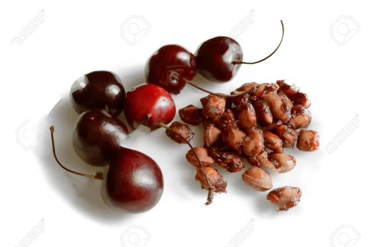 Planting-cherry-tree-1