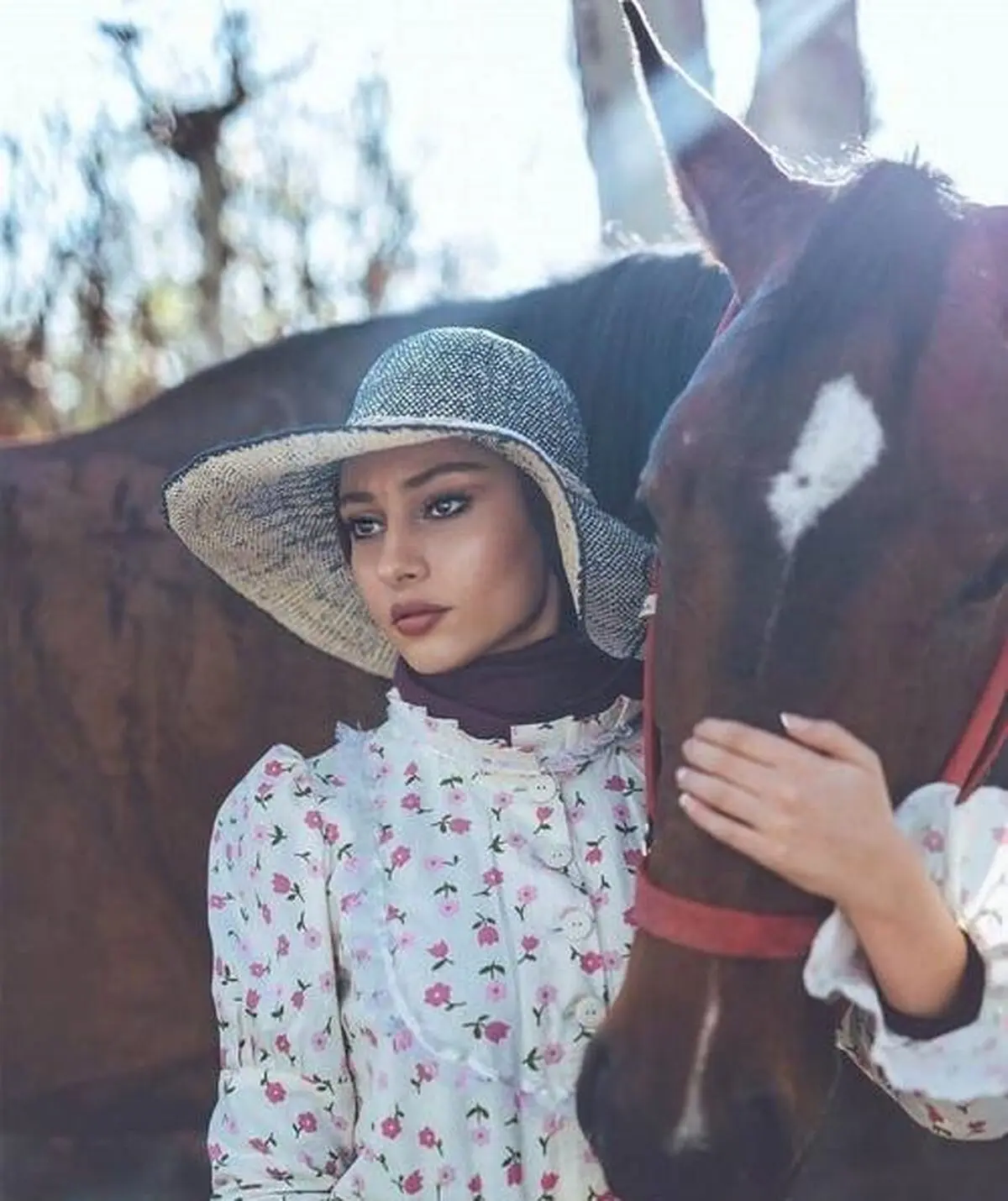 اسب-ترلان-پروانه