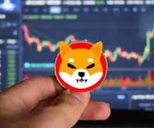 پیشرفت غافلگیرکننده از شیبااینو!!!