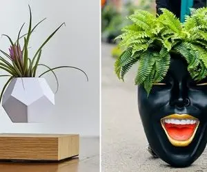 خاص ترین و زیباترین مدل های گلدان / تا حالا کسی از این شکل و شمایل به گلدان نگاه نکرده