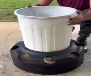 دامداری نوین؛ با لاستیک و سطل یه چی درست کرد مرغا اندازه جیره شون غذا بخورن نه بیشتر