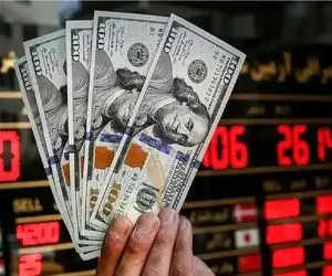 قیمت دلار توافقی امروز شنبه 8 شهریور 1404 / حواله دلار ثابت ماند