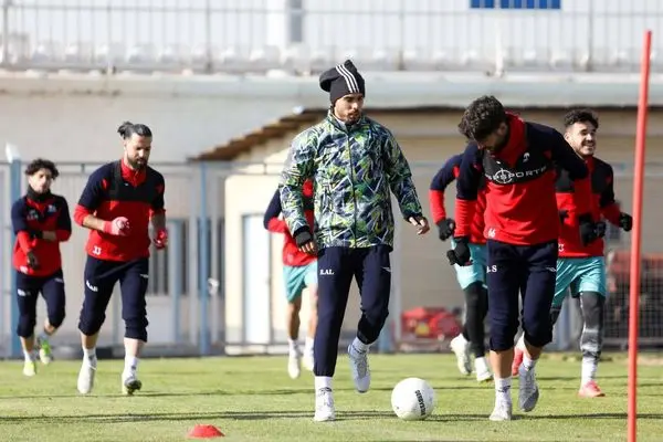 nafiseh roshan shayanews