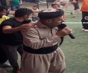 آواز محلی؛ خواننده مهمونارو پشت سرش راه انداخته رقص قطاری میرن نازی نازی نسترن میخونه