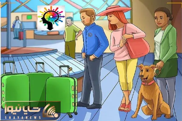 تست و خودشناسی