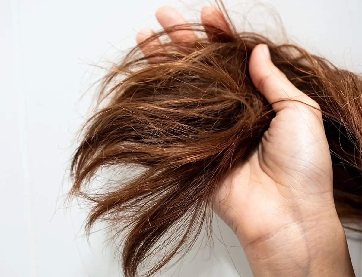 PHS-HAIRSCIENCE_Reasons-to-use-hair-oil-for-dry-hair-1