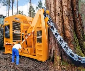 ابزارآلات غول پیکر؛ بیل مکانیکی غول برا سرعت خلاصی زنجیرشو انداخت دور درخت
