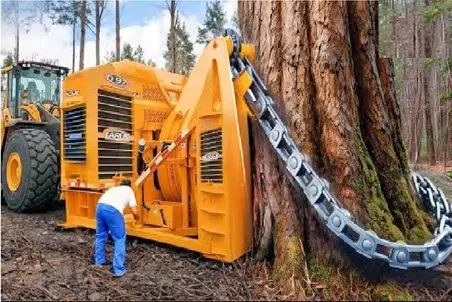 ابزارآلات غول پیکر؛ بیل مکانیکی غول برا سرعت خلاصی زنجیرشو انداخت دور درخت