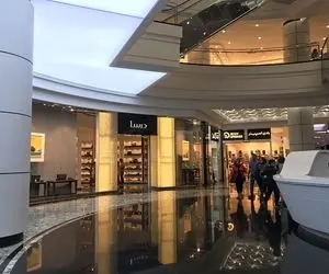 ماجرای وجود تمساح زنده در اپال تهران چیست؟