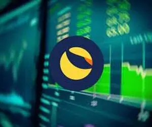 راه های موثر از رقیب شیبااینو،ترا!