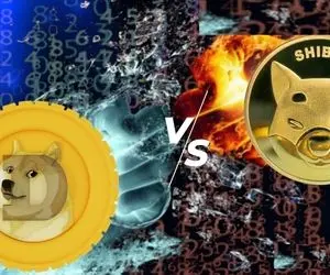 دوج کوین و شیبااینو بهترین سرمایه برای سال جدید؟!