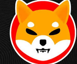 شاهکاری از نهنگ های شیبااینو!