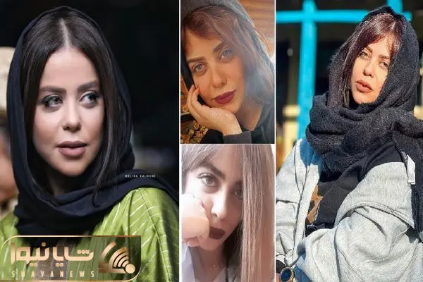 elham akhavan shayanews