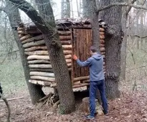 معماری خلاقانه؛ آقاهه بین 4 تا درخت چوب گذاشته واسه خودش یه خونه جنگلی ساخته