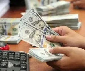 ادامه نوسان در بازار ارز