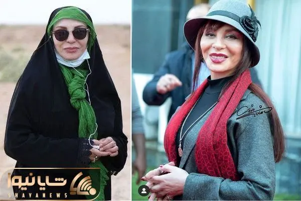 afsane bayganshayanews