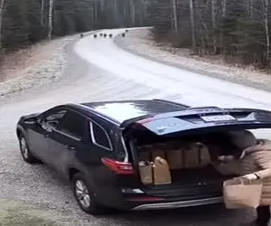 معماری طبیعت؛ منم جای خانومه بودم بعد دیدن این صحنه تو صندوق قایم میشدم