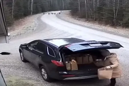 معماری طبیعت؛ منم جای خانومه بودم بعد دیدن این صحنه تو صندوق قایم میشدم