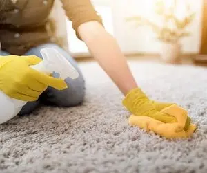 جمع کردن مو از روی فرش و موکت / با این ترفندا بدون نیاز به جاروبرقی از شرشون خلاص شو