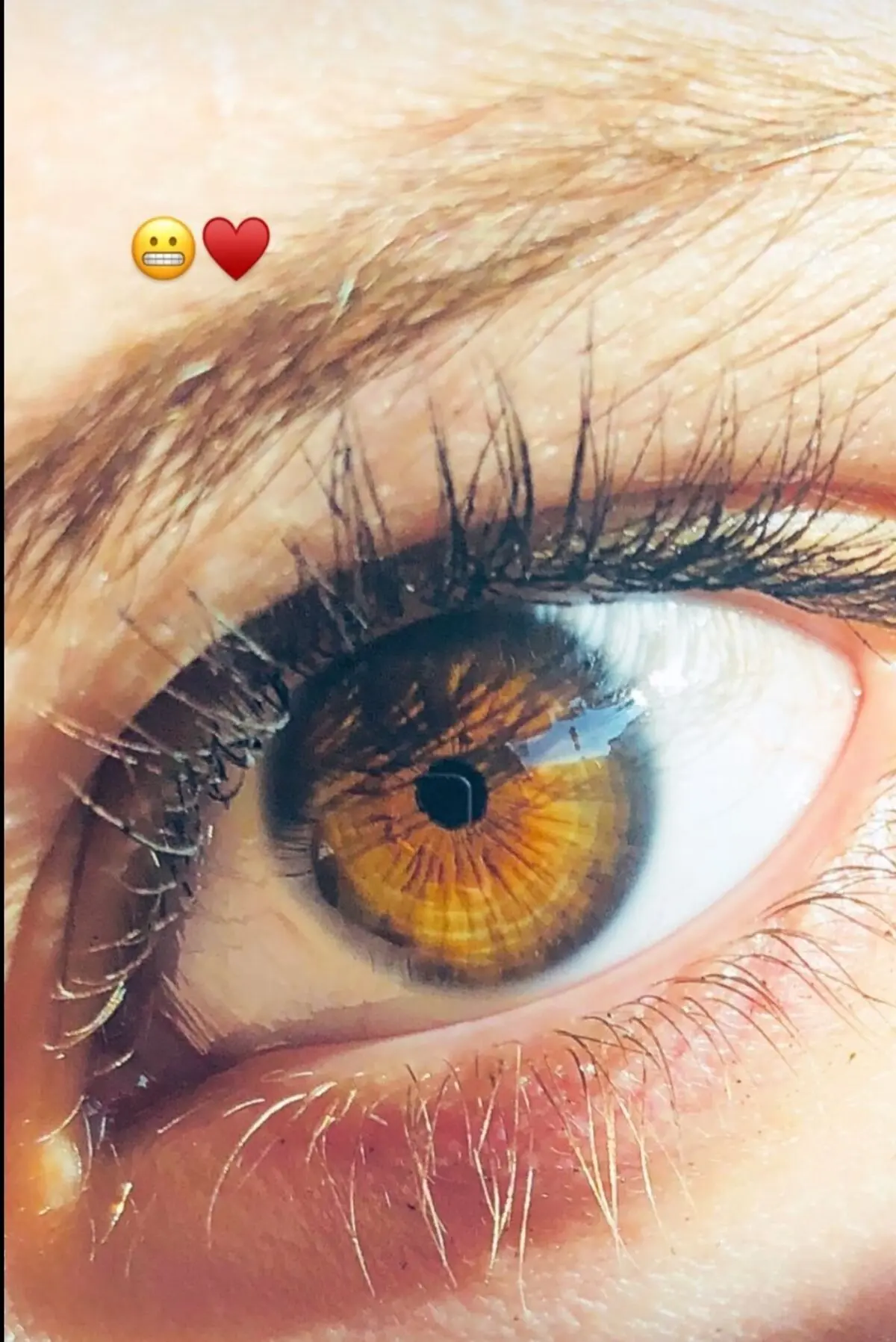 سارا و نیکا فرقانی
