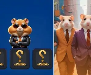 کارت های امروز پنج شنبه همستر کامبت 1 شهریور + آموزش وارد کردن