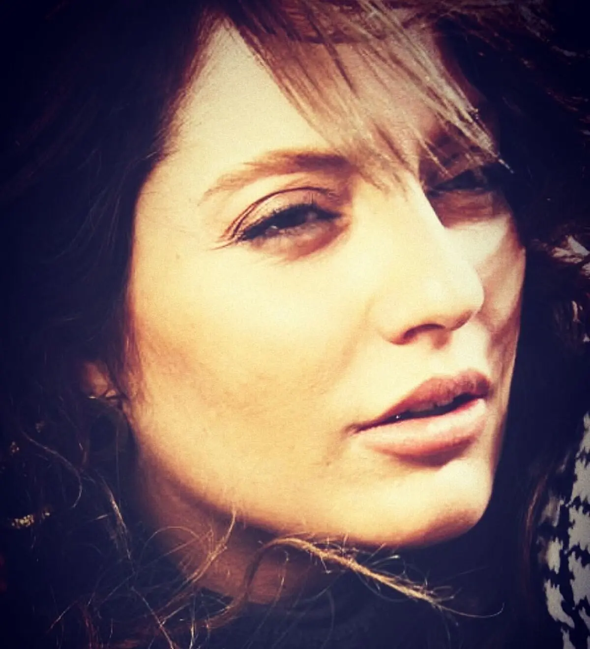 mahnaz_afshar_1605971382