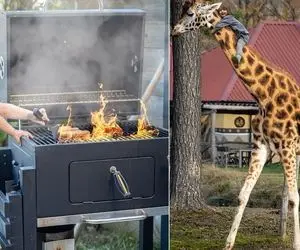 وقتی بچه رو می سپاری به باباش همین میشه دیگه؛ کارای خطرناکی که این پدر با بچه هاش میکنه