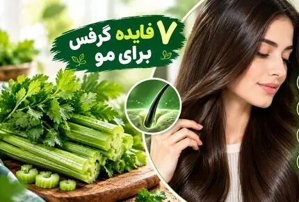 7 فایده طلایی کرفس برای شفا و درخشش مو؛ تنها خوش طعمی که مضر نیست، از رشد تا آبرسانی