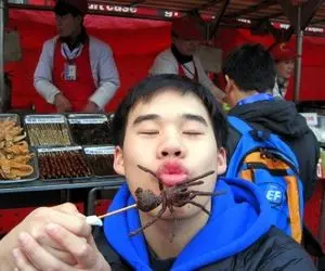 غذای خیابانی؛ دیگه هیچ جَک و جونوری نمونده که تو چین سرو نشه مشمئز آورترین حالت ممکن