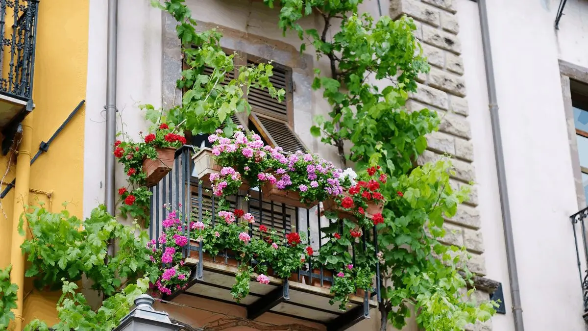 گیاهان مقاوم به گرما