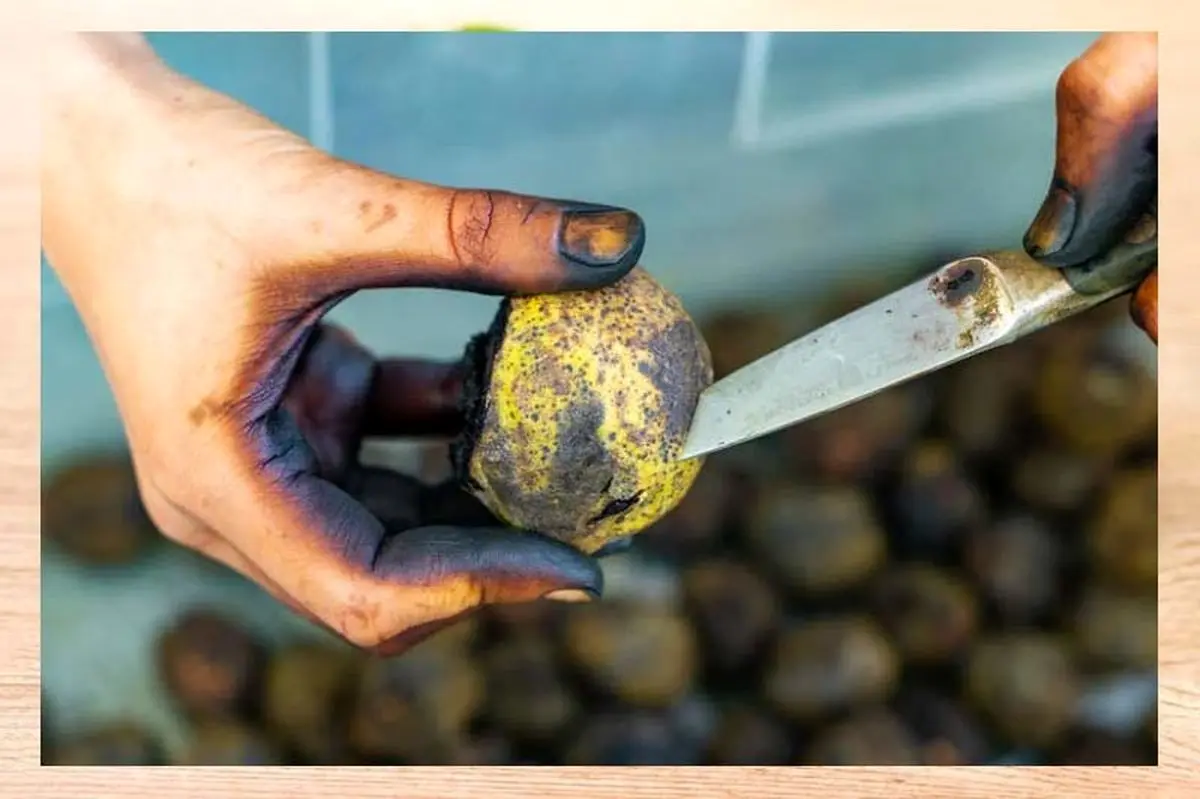 سیاه-شدن-دست-با-پوست-گردو