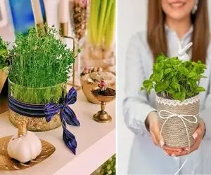 سریع الرشدترین سبزه ها برا عید تو 5 روز؛ اینا دیقه نودی هستن و از سبزه گندمم خوشگلترن