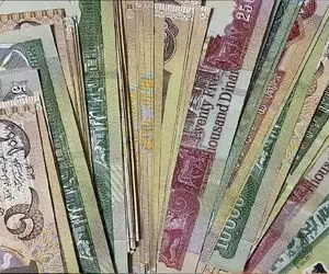 قیمت دینار عراق امروز دوشنبه 19 مرداد 1405؛ ریزش 50 تومانی