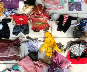 (عکس) لباس برای گربه ها؛ از لباس پرستار تا لباس محجبه!