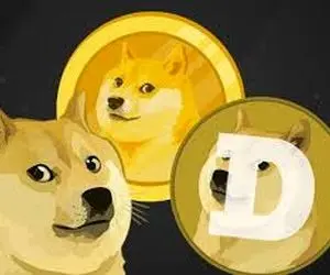 نهنگ های دوج کوین چی میخوان که حمله کردند؟