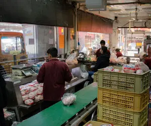 کمبودی در عرضه مرغ شب عید نداریم