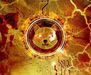 وضعیت شیبااینو دراین بازارهولناک؟؟