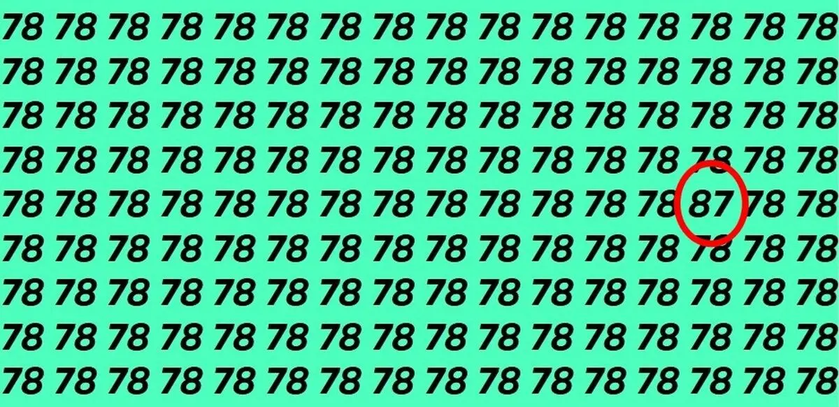 Untitled788